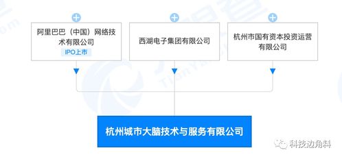 阿里巴巴助力杭州数字新基建，成立城市大脑技术公司赋能智慧治理